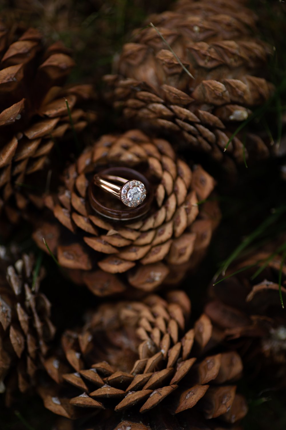 Web Wedding Portrait Photographer Brian Powers-238.jpg