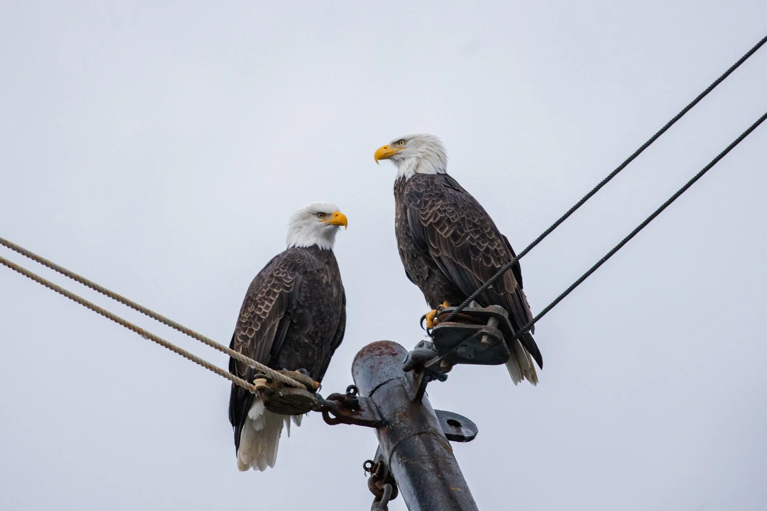 Web Thanks Alaska Commercial Brand Photographer Brian Powers-70.jpg