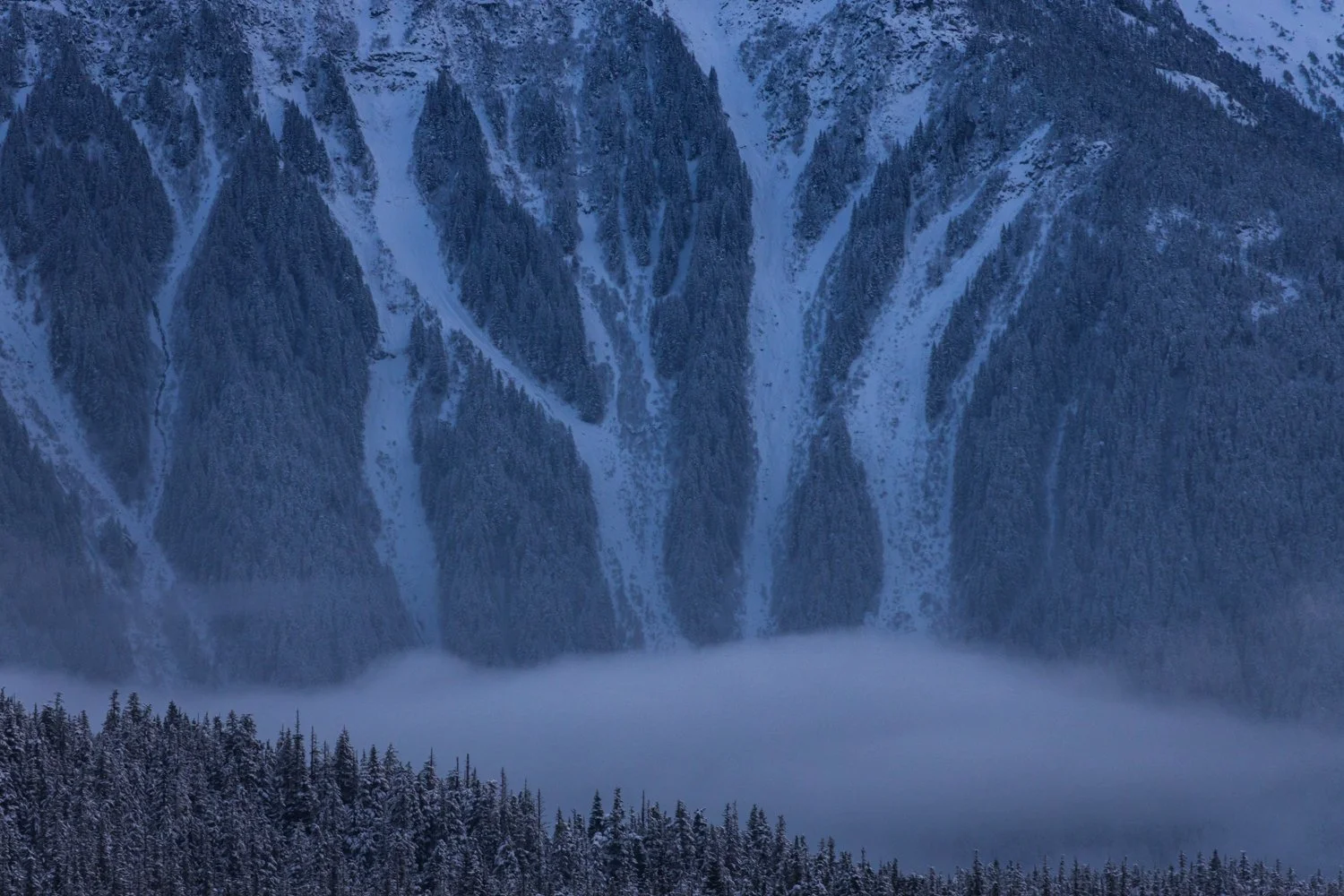 Web Thanks Alaska Commercial Brand Photographer Brian Powers-78.jpg