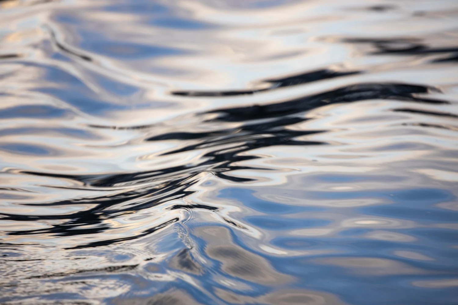 Web Thanks Alaska Commercial Brand Photographer Brian Powers-30.jpg