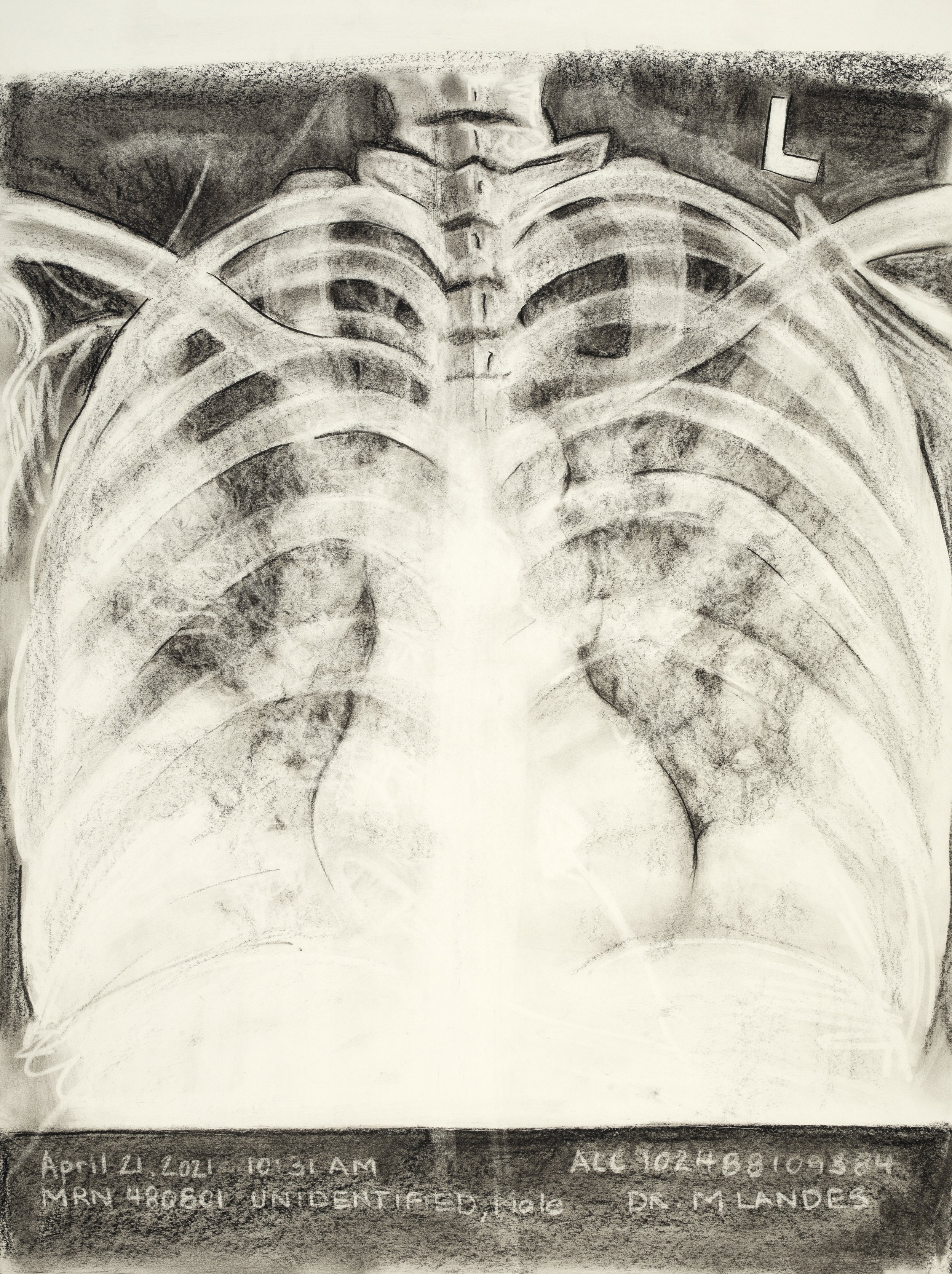 I Miss All Your Beautiful Faces