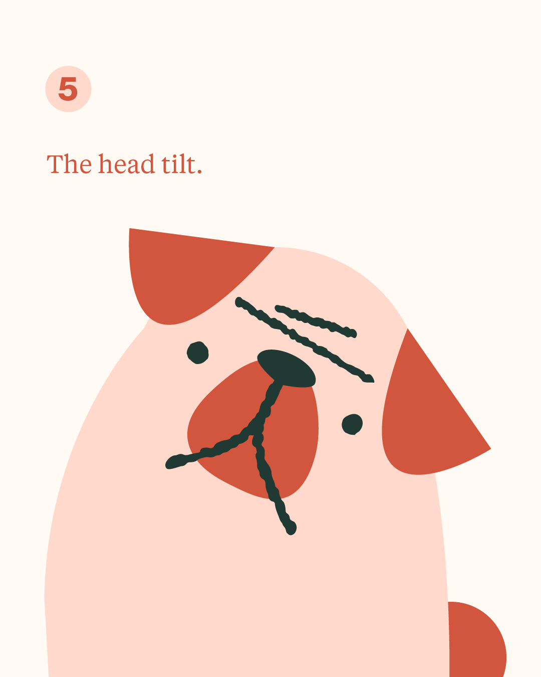 06.png