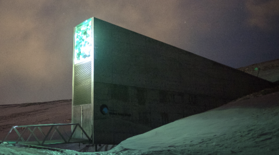 The Svalbard Seed Vault: Humanity’s Ultimate Safeguard