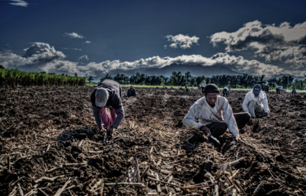 Persecution of Environmental Defenders in the Philippines