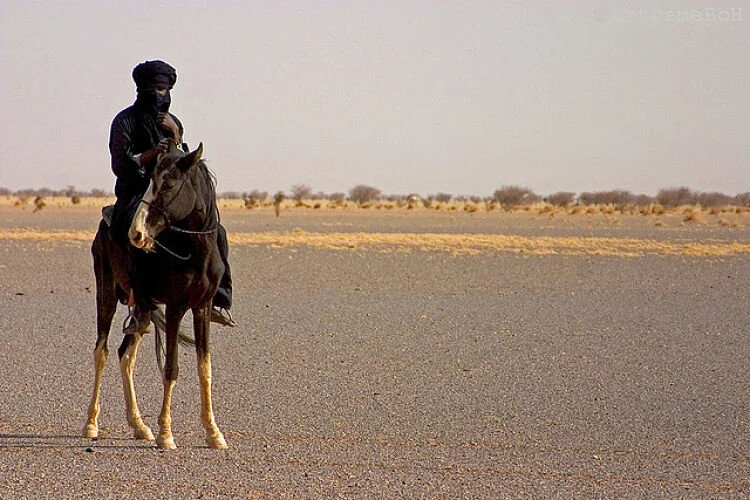 MALI: WAS THE WAR INEVITABLE?