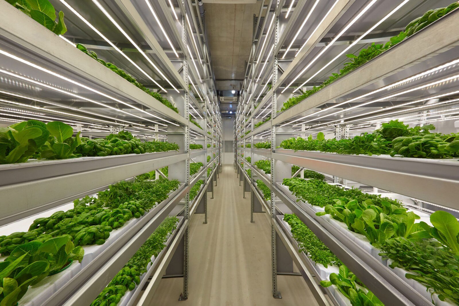 Vertical Farming: Lifesaver or Luxury?