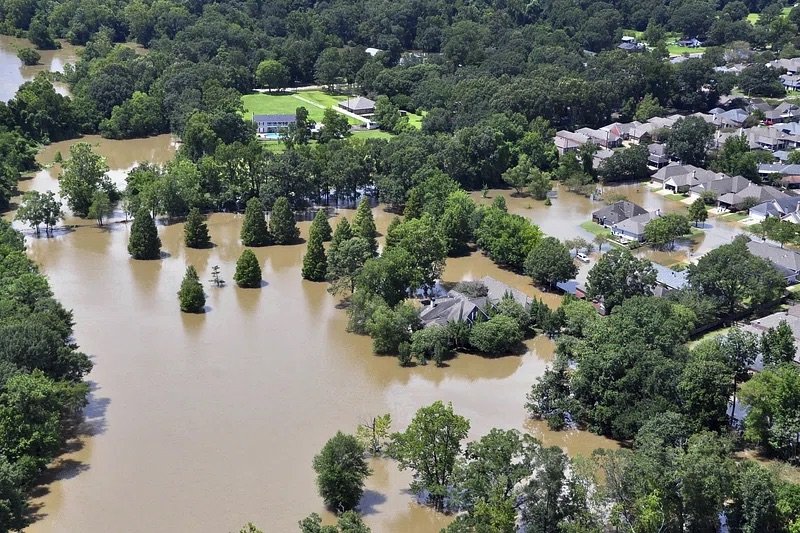 Quelling the Sea- The Threats of Rising Sea Levels to Ecological Stability and Public Health
