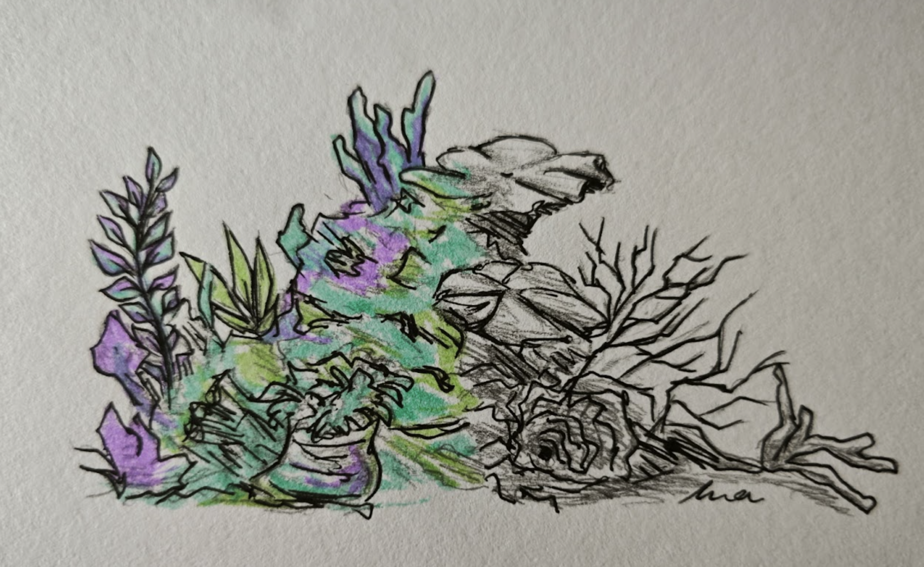 The Race to Save the Reefs: Will Coral Decline Become Permanent?