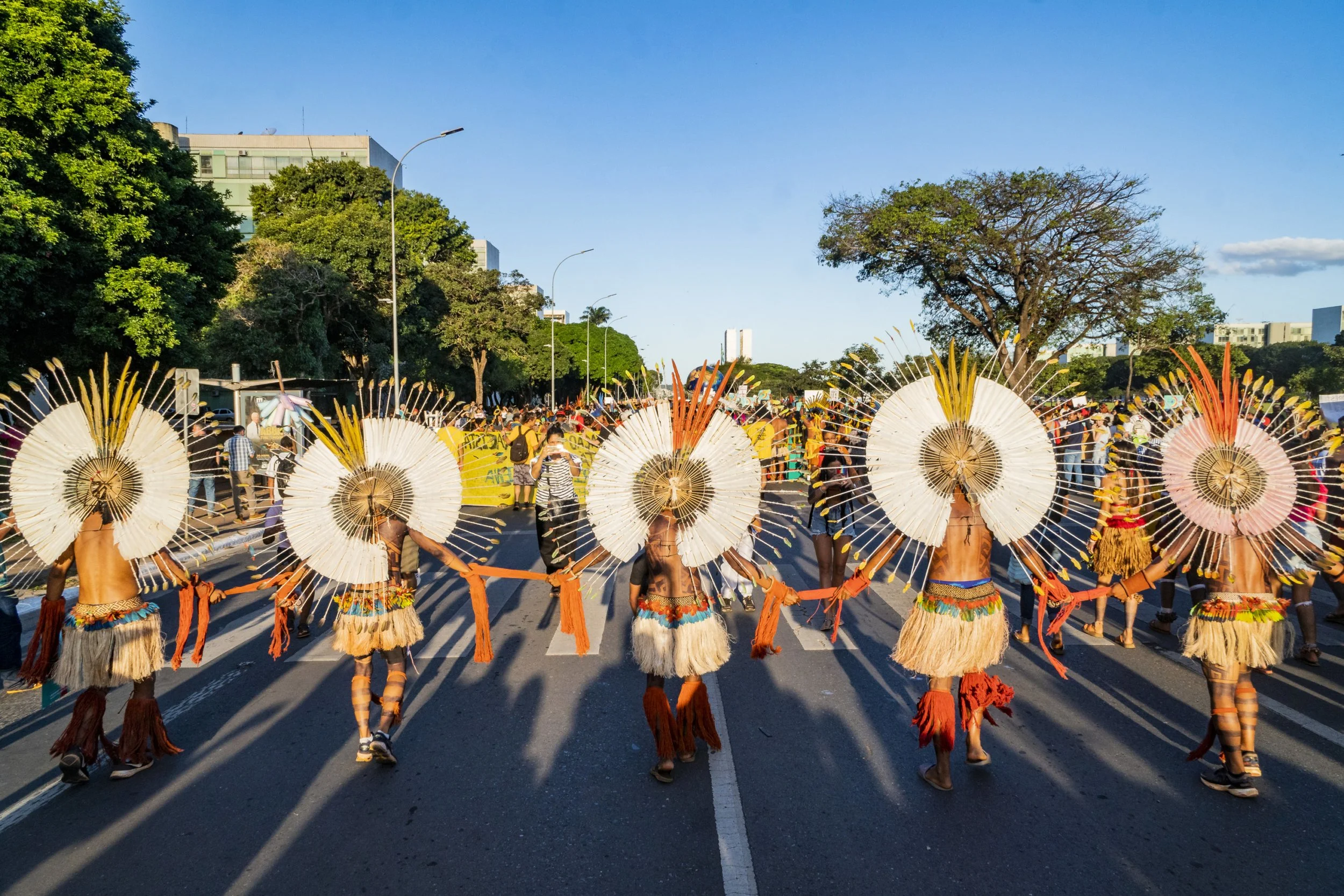 Strengthening Safeguards for Environmental Defenders in Brazil 