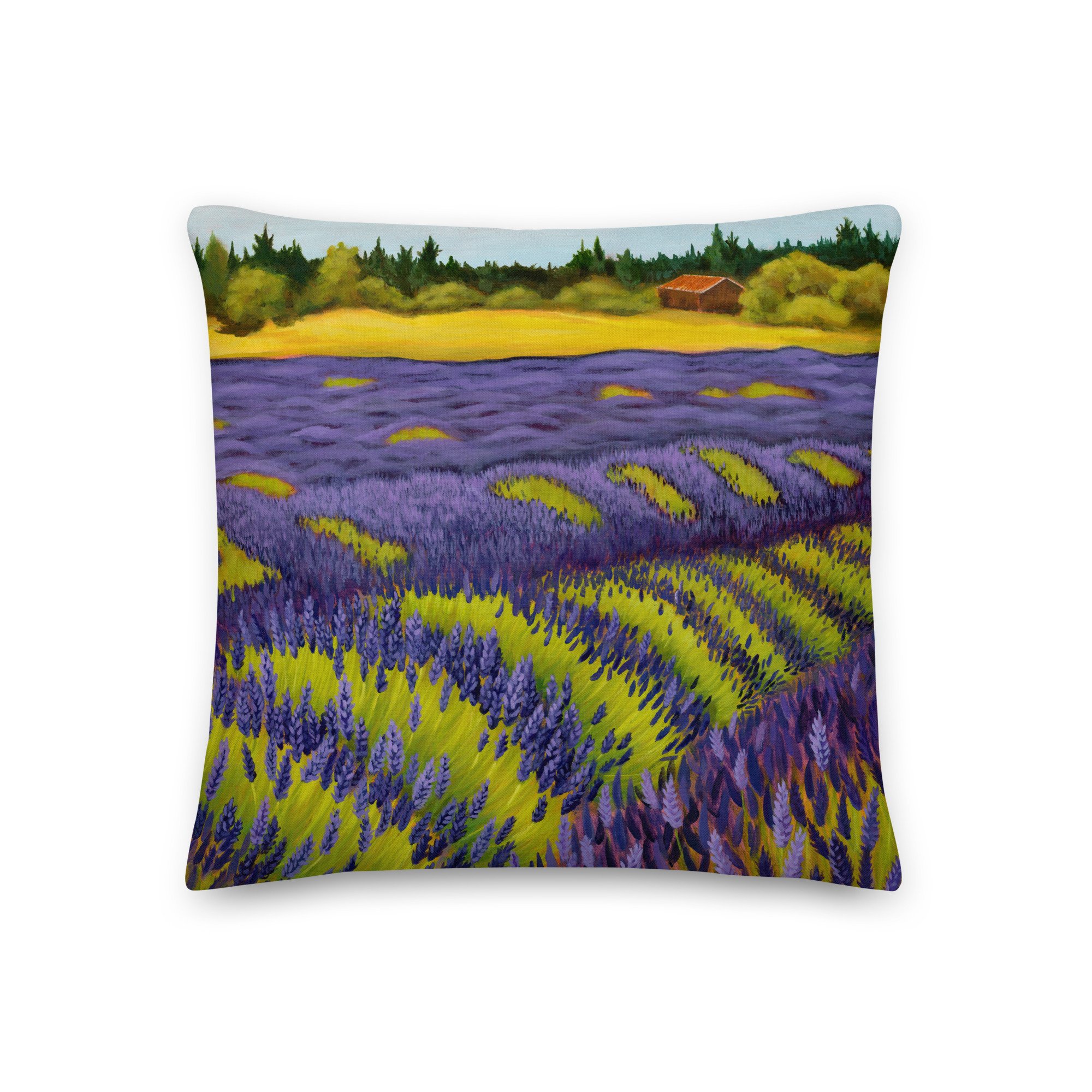 all-over-print-premium-pillow-18x18-front-6445d1850929b.jpg
