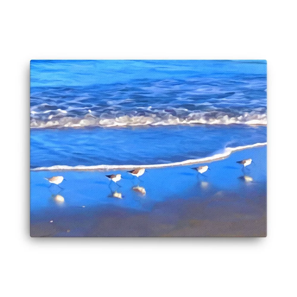 canvas-(in)-18x24-wall-6461833d417b2.jpg