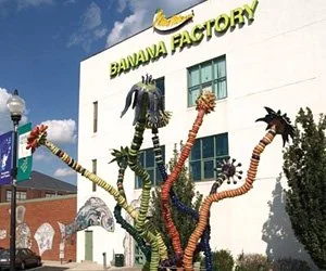 Banana Factory.jpg
