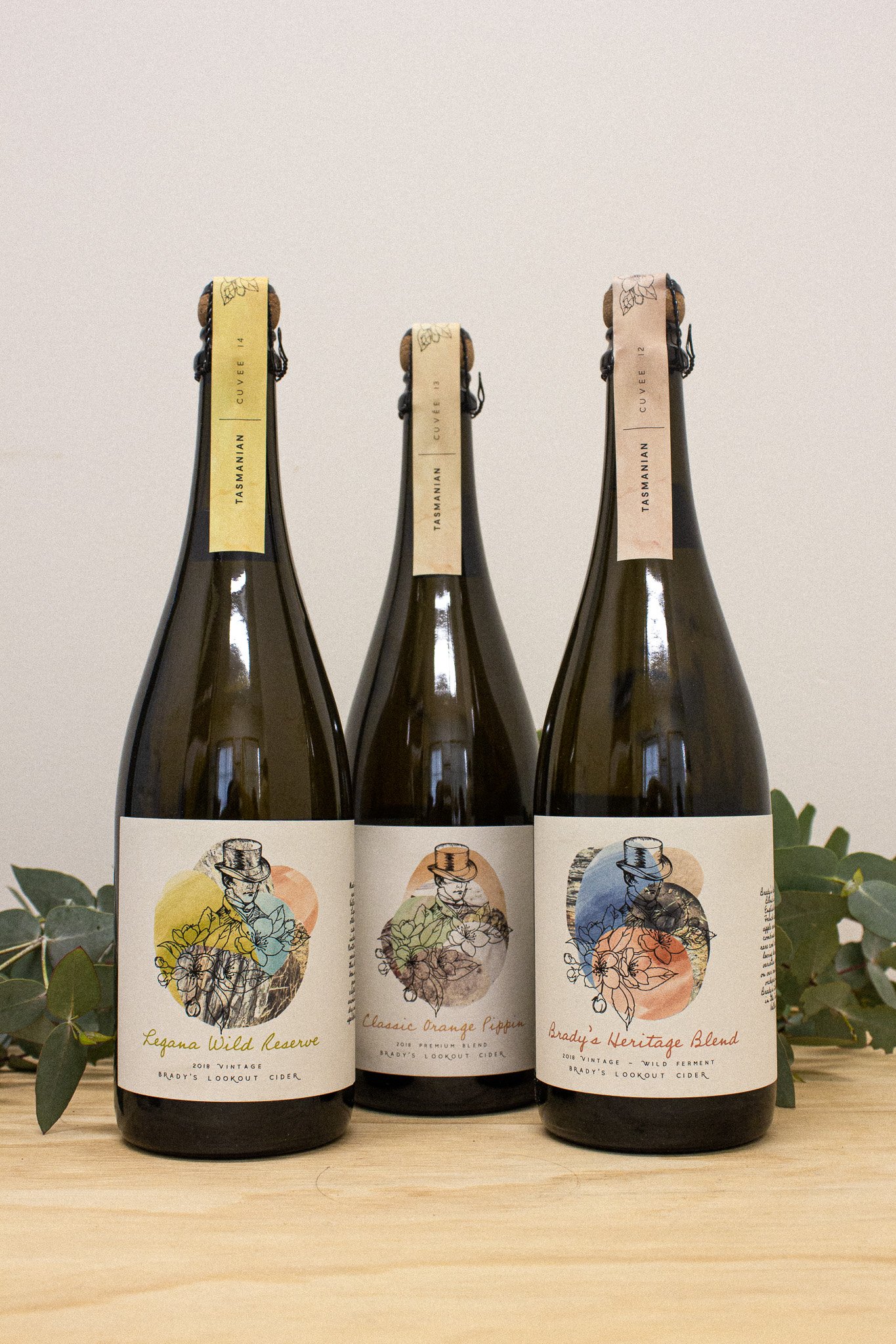 Bradys-Lookout-Cider_Mixed-Case.jpg