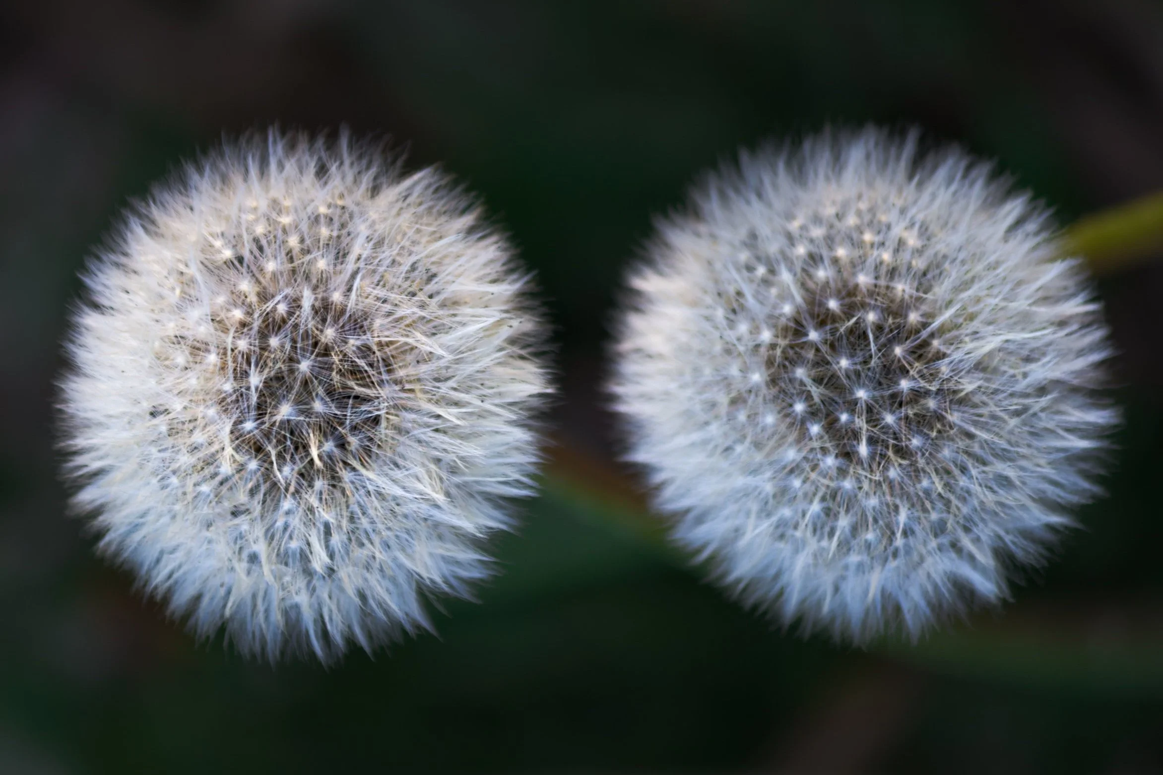 corporate propeller.jpg