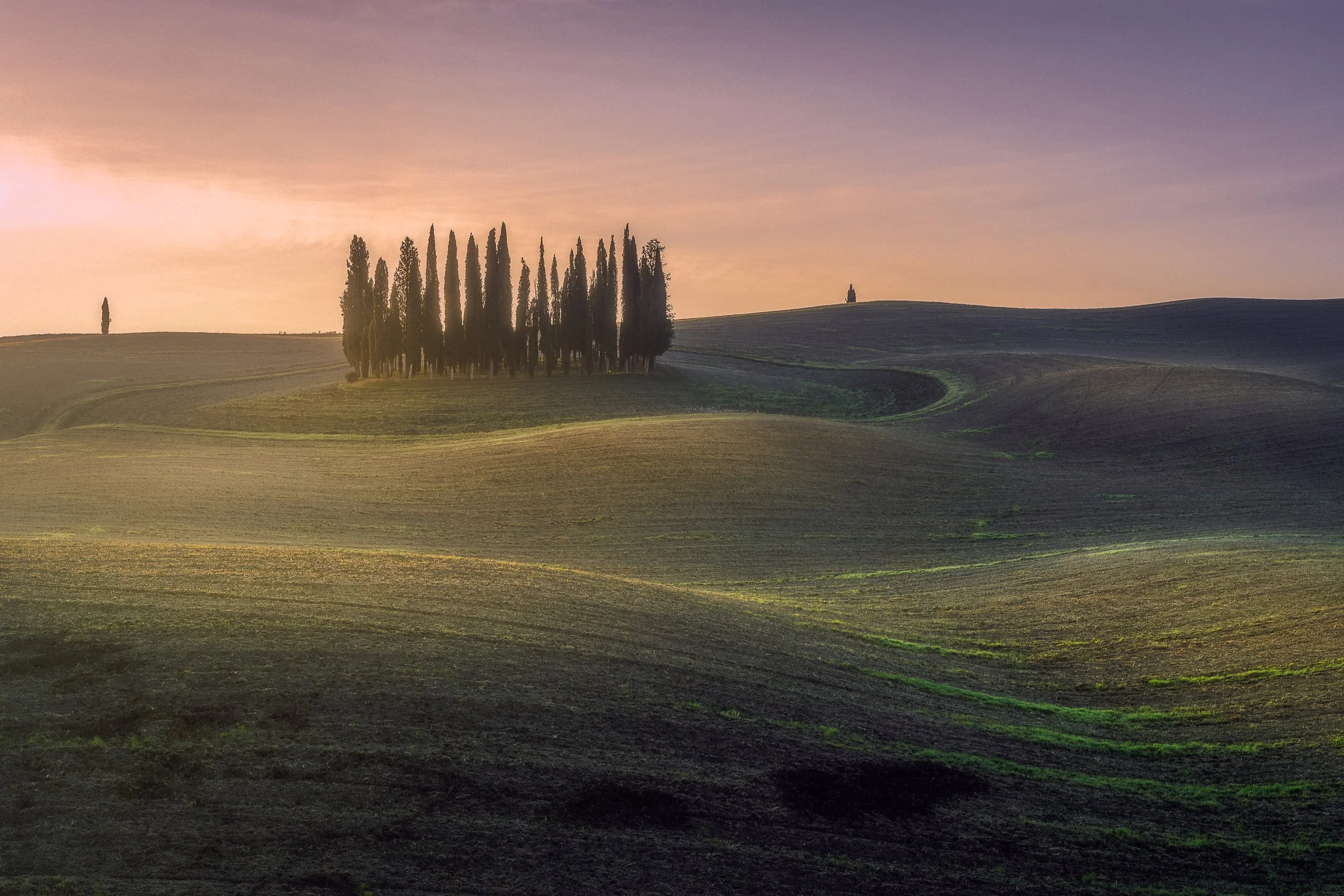 TUSCANY_PRINT_102022-1.jpg