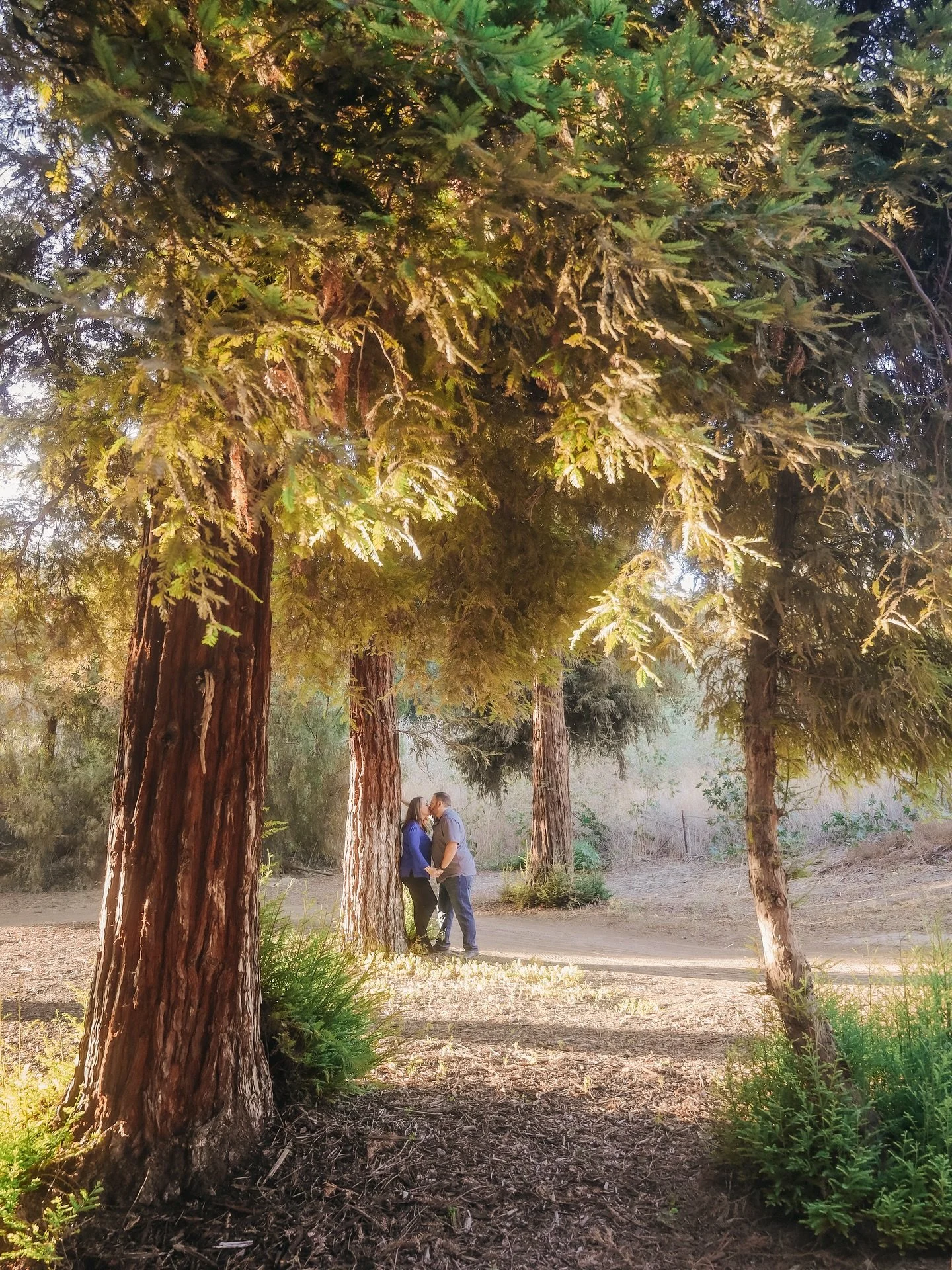 Can&rsquo;t wait for fall sessions at this beautiful place ✨🌼 loved this precious engagement session 📸🤗🌅 

Carbon Canyon 🌼 Brea Photographer 🪻 Anaheim Photographer 🪷 OC Wedding Photographer