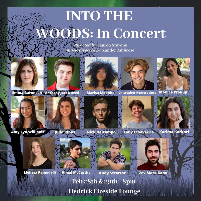 Into the Woods Casting