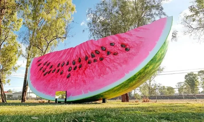 Melon Rodeo
