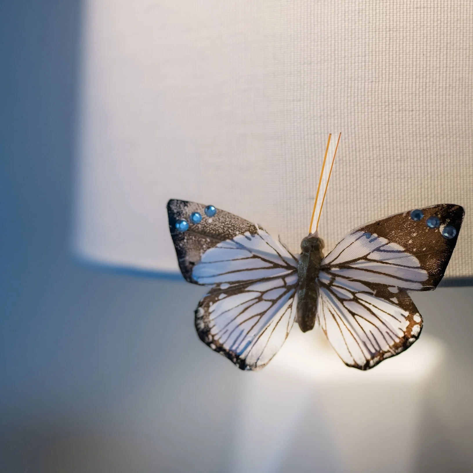 Butterfly imagery symbolizing transformation in Sheila Fox Tam's healing practice.