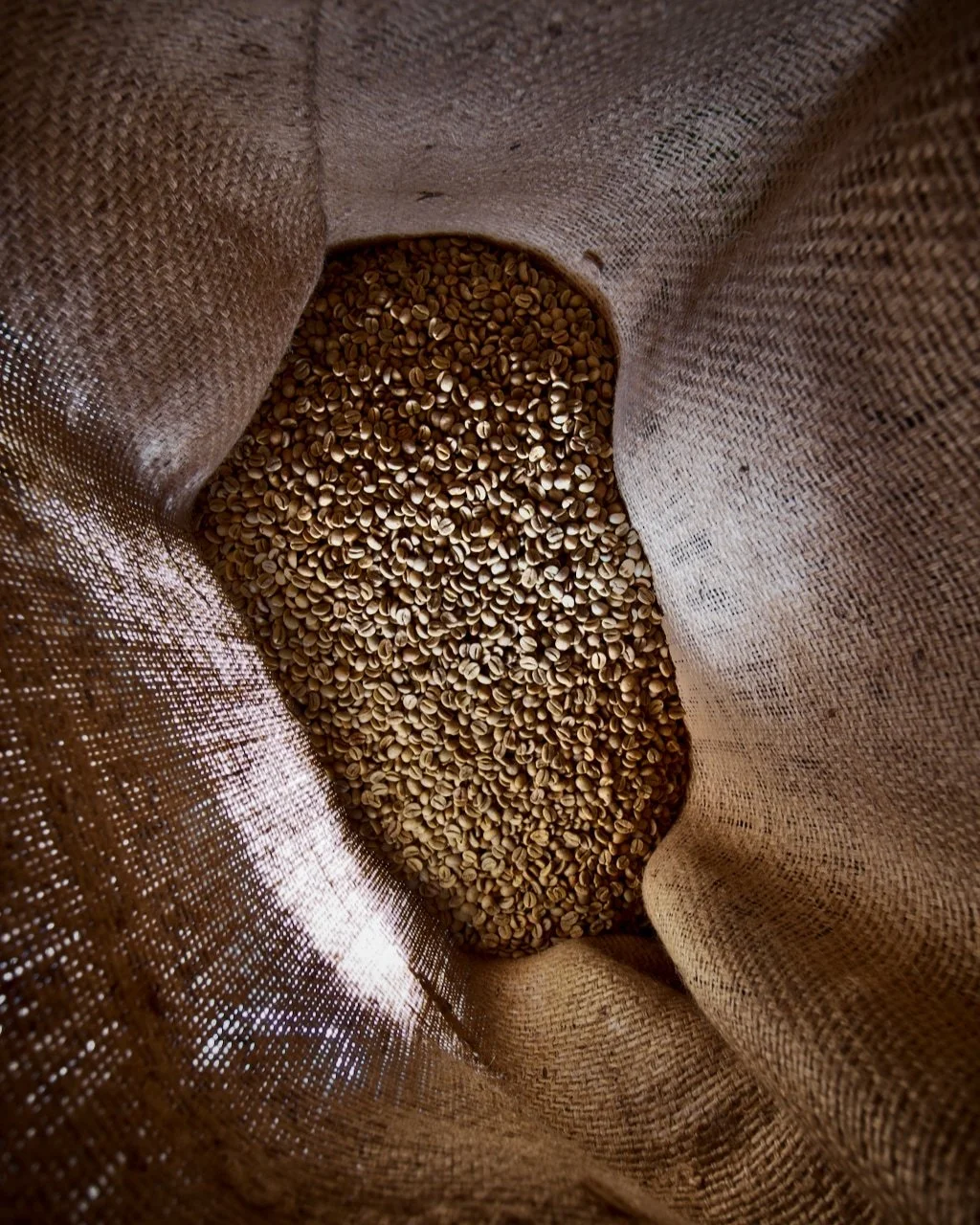Green coffee beans in a hessian sack, used to make Black Geisha, a specialty cold brew coffee liqueur with the Geisha varietal.