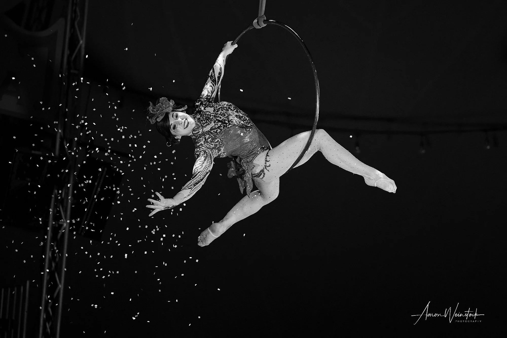 Bella_12_10_25_1618 1.jpg