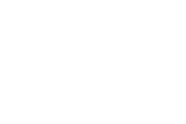 SEC for SLS site.png