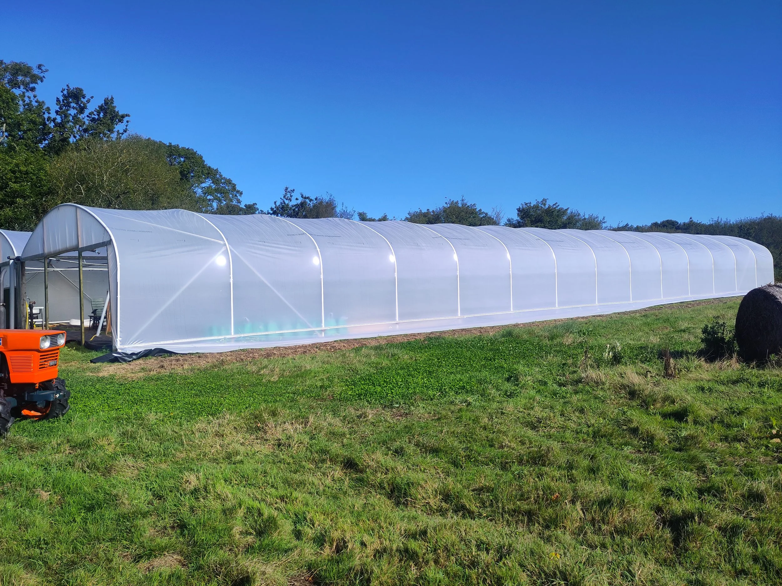 Polytunnel re-skin, Spring 2024