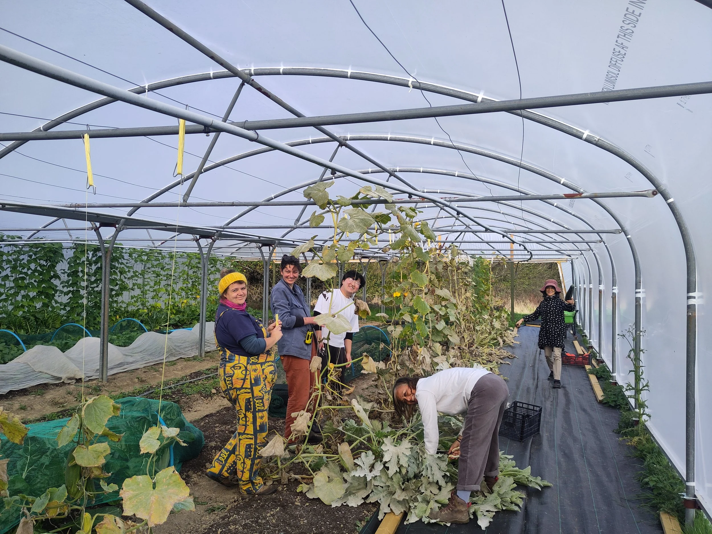 Bed clearing, F.A.F Open Day, Oct 2024
