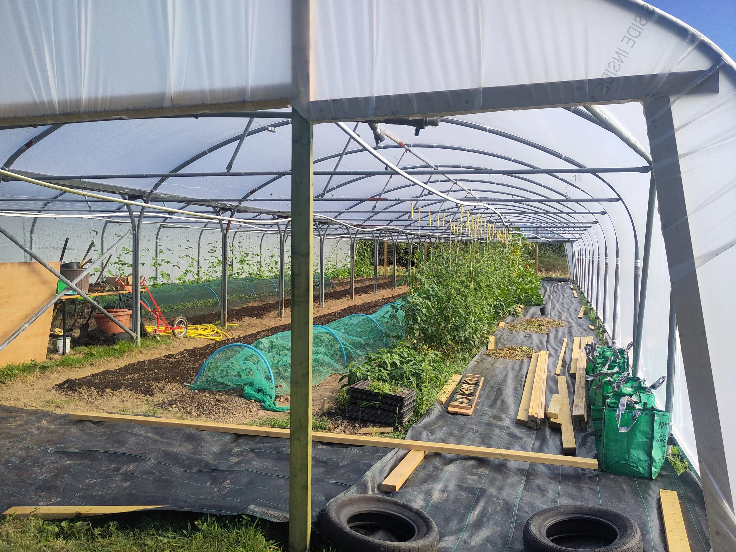 FAF polytunnel in operation Sept24.jpg