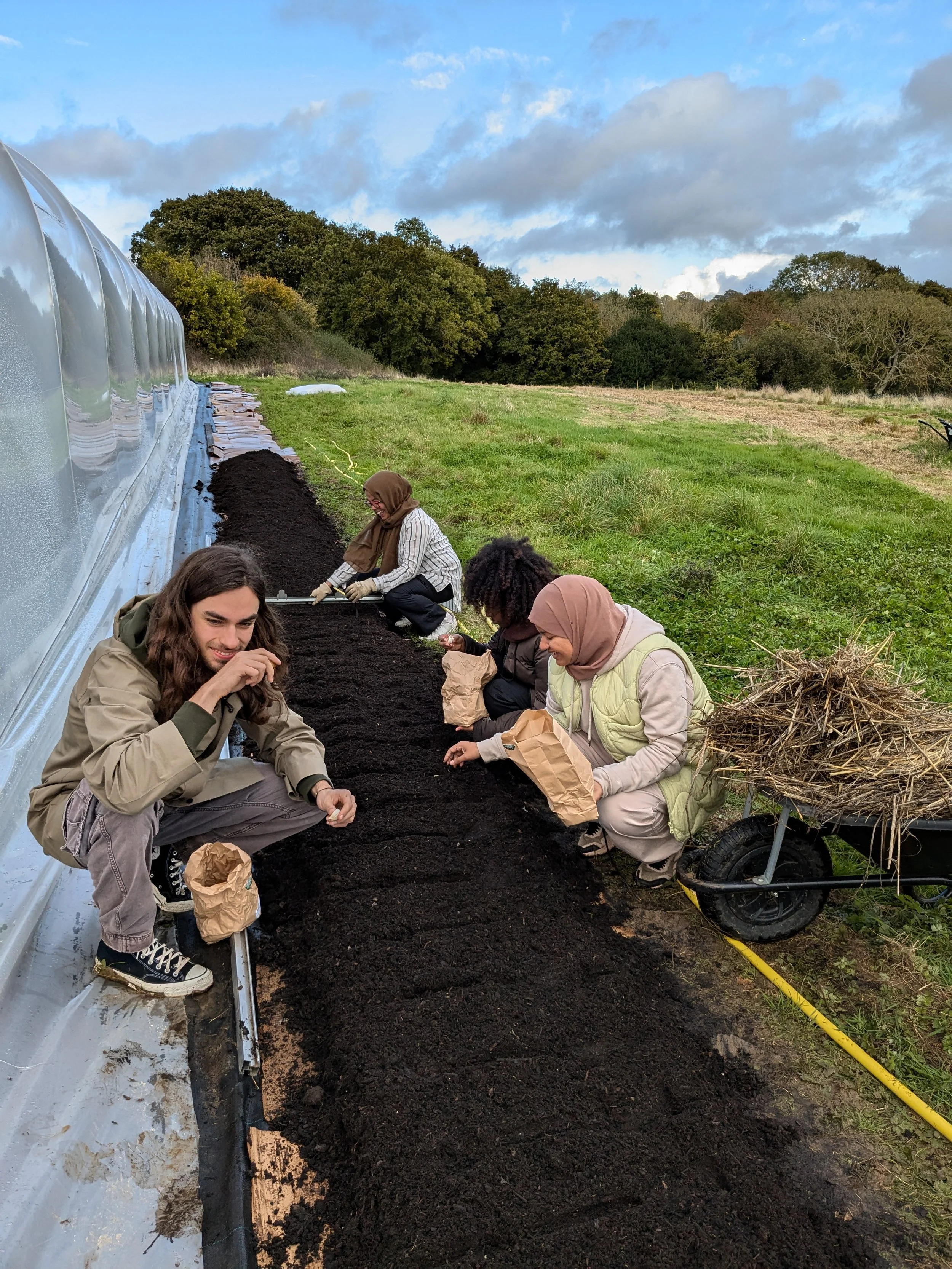 Garlic bed preperation, F.A.F open day, Oct 2024
