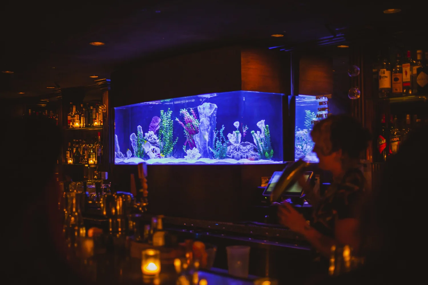 Bar photo 1