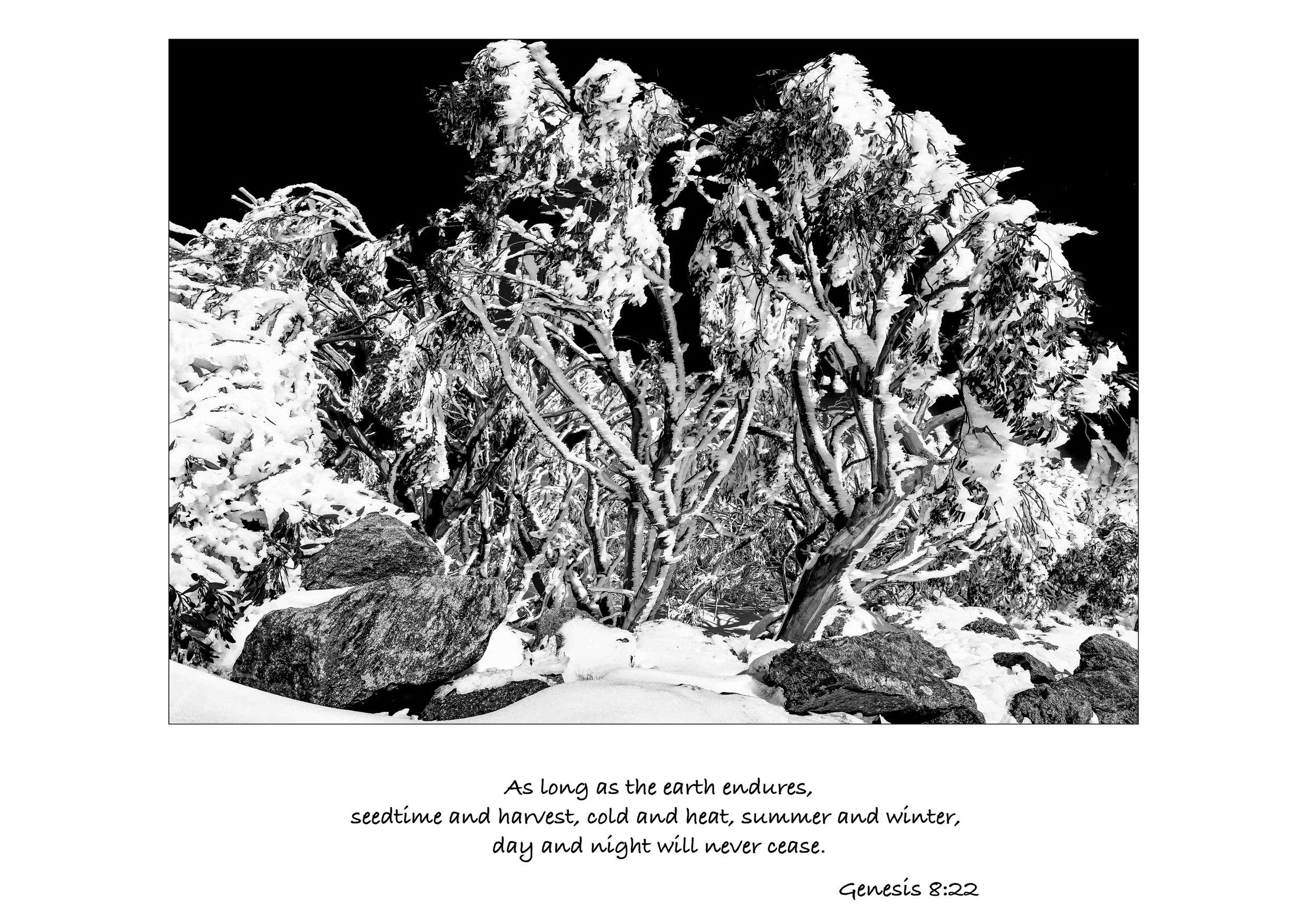 Scripture-18.jpg