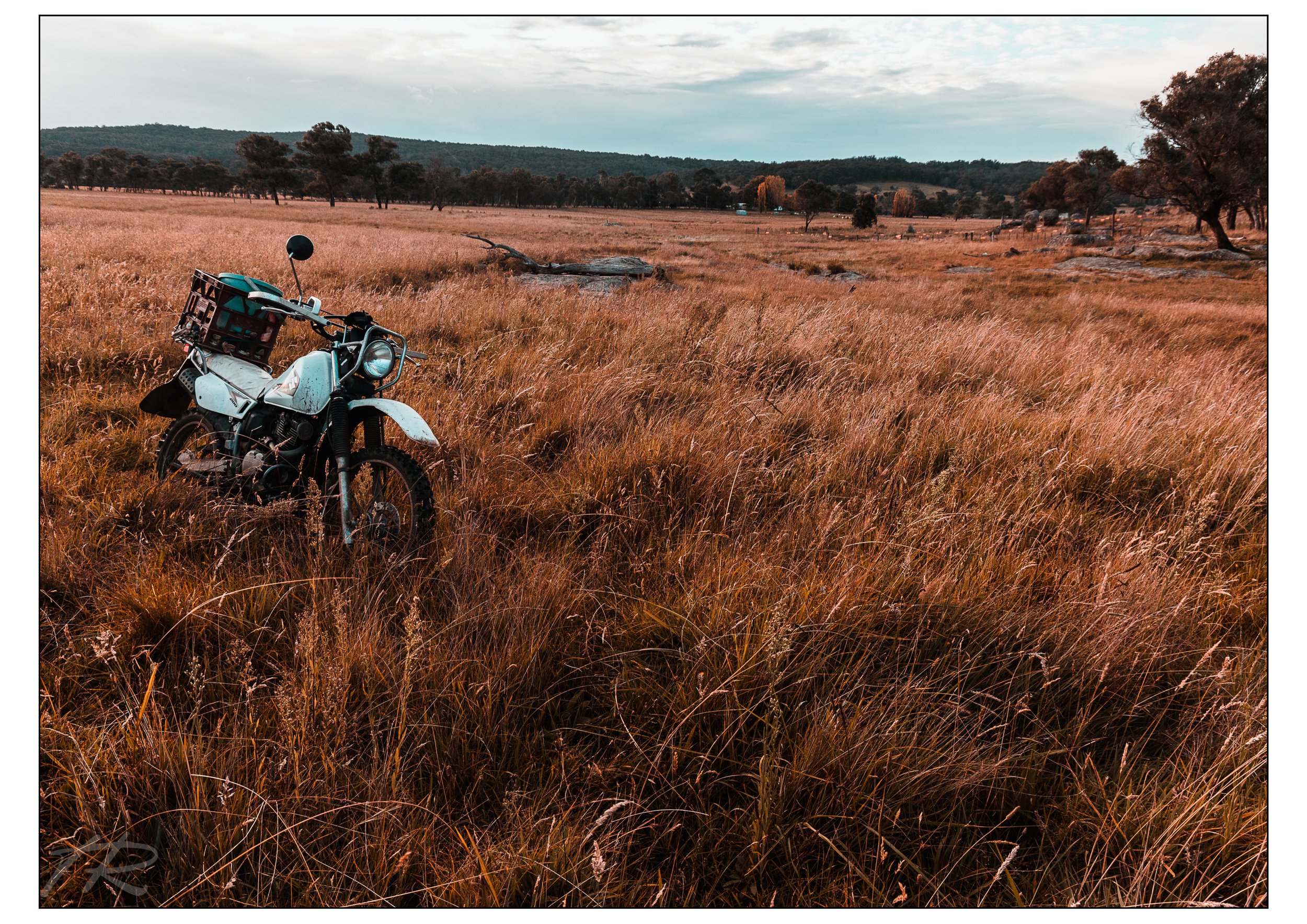 Bike.jpg