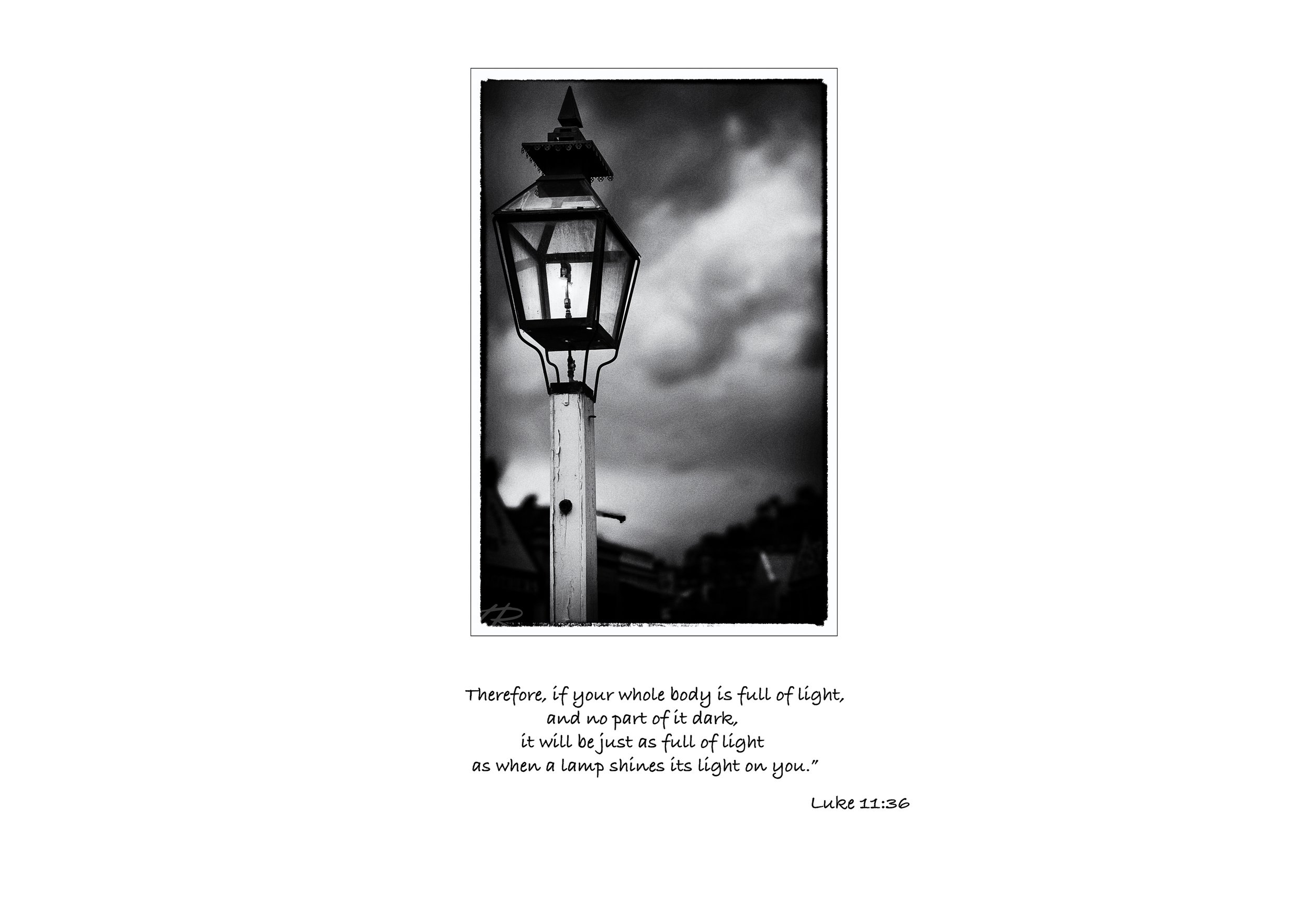 lamp portrait.jpg