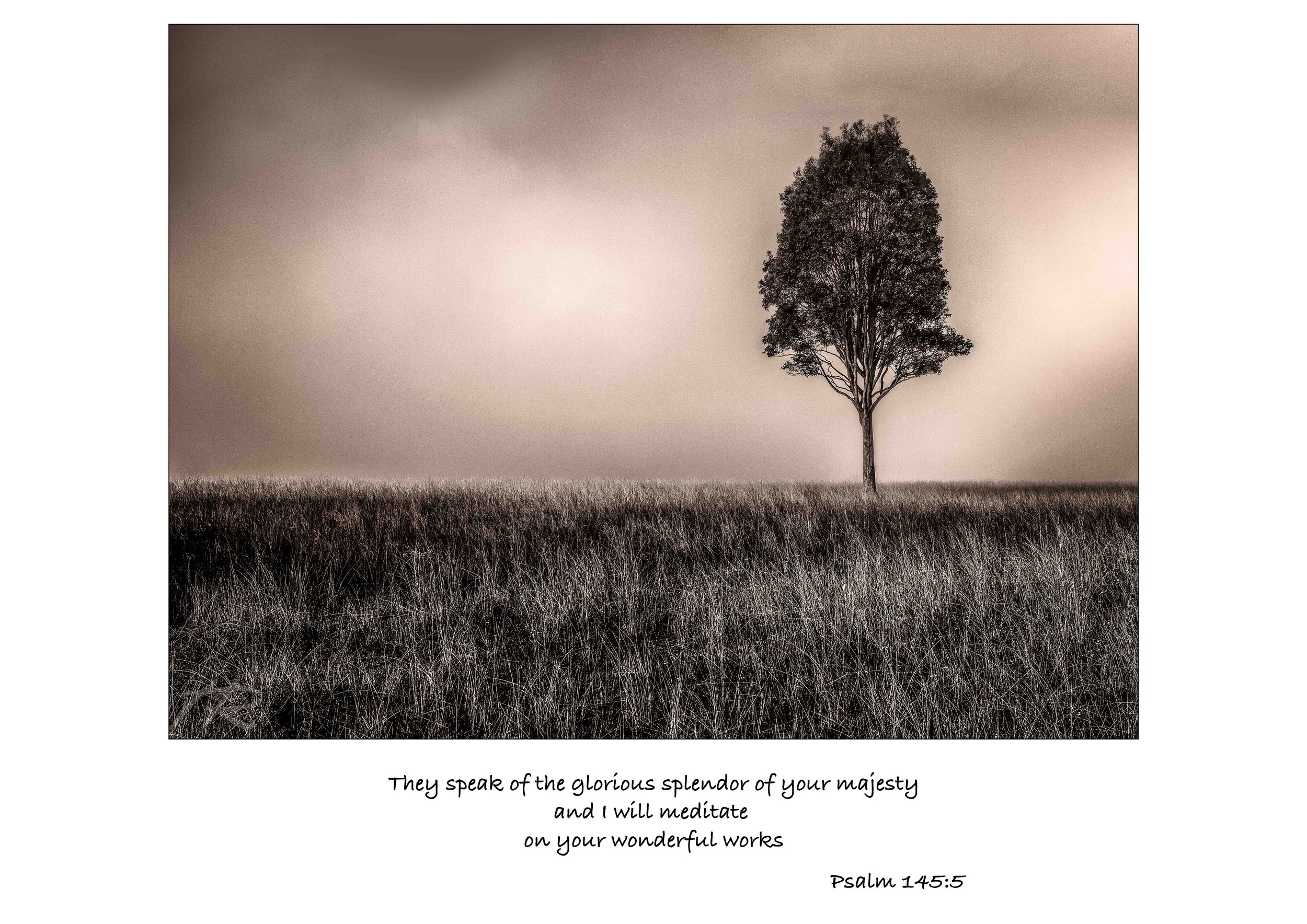 Scripture-7.jpg