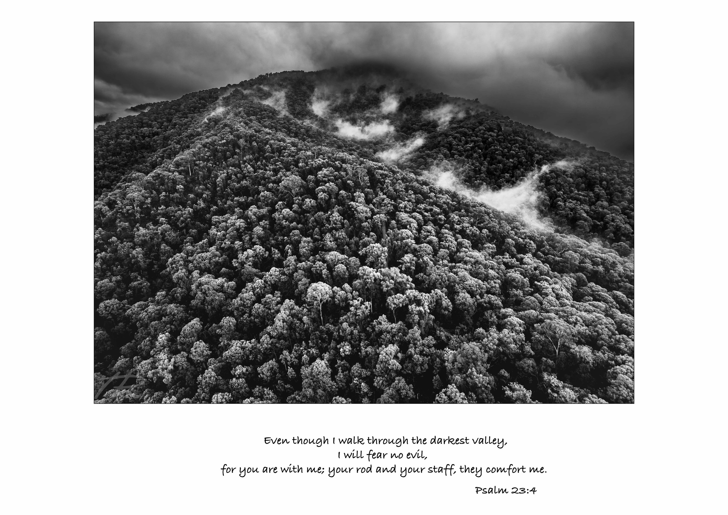 Scripture-19.jpg