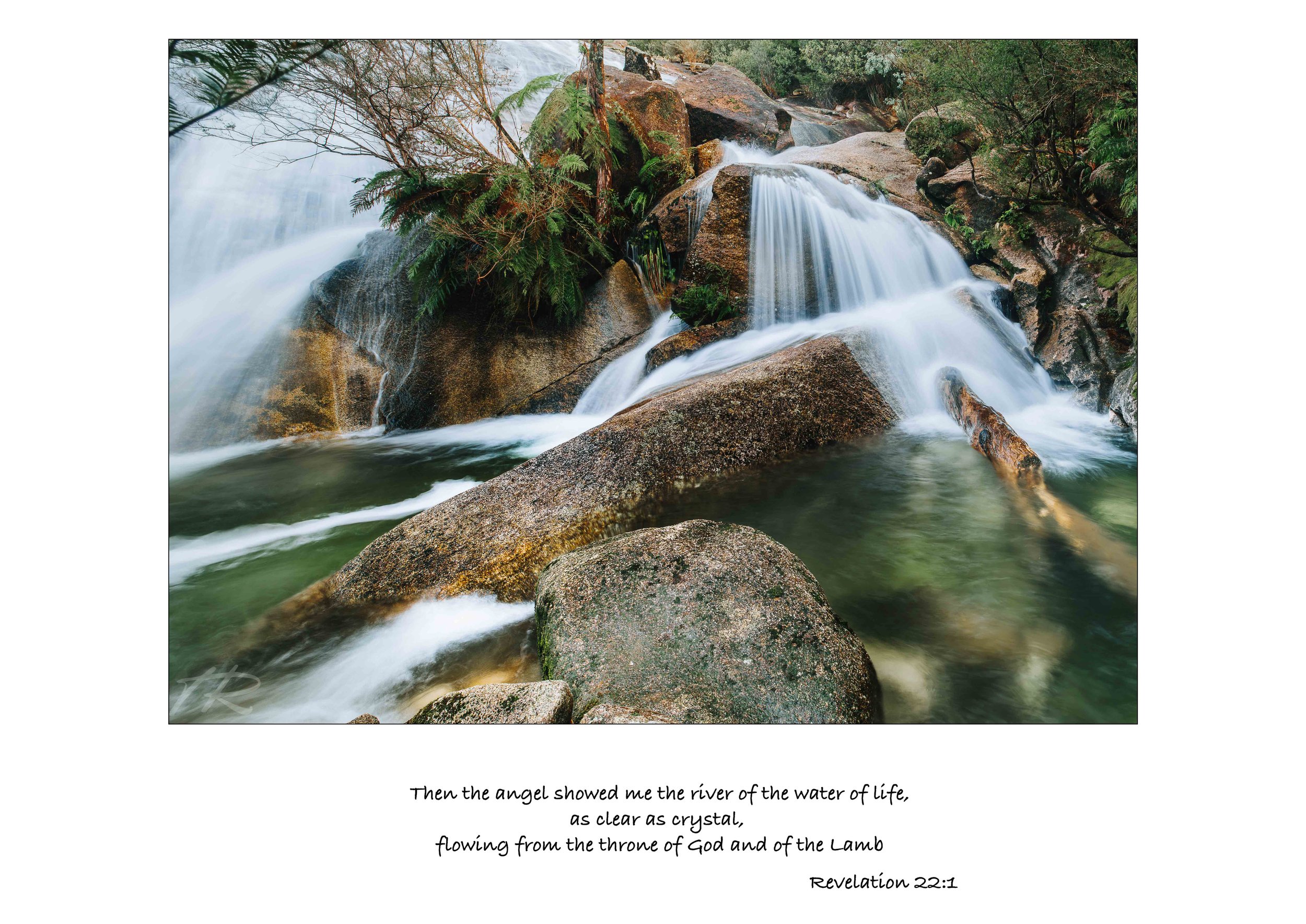 Scripture-21.jpg