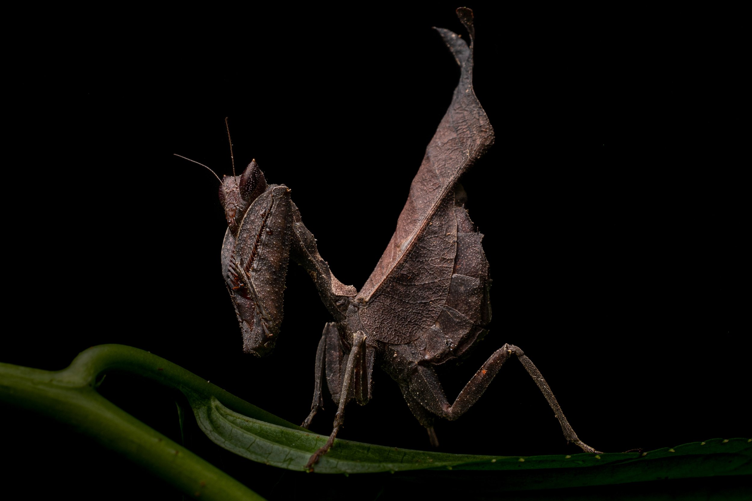 DSC_0842.jpg