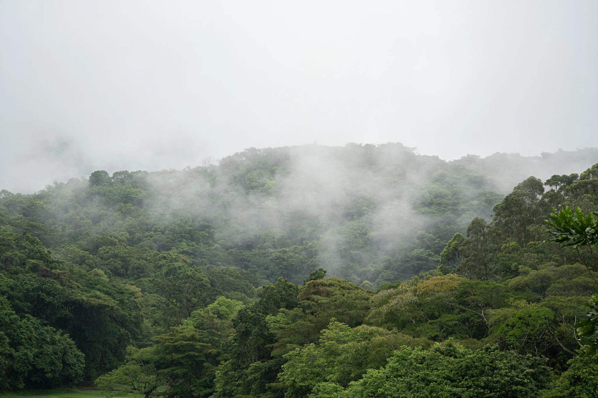 DSC06545.jpg
