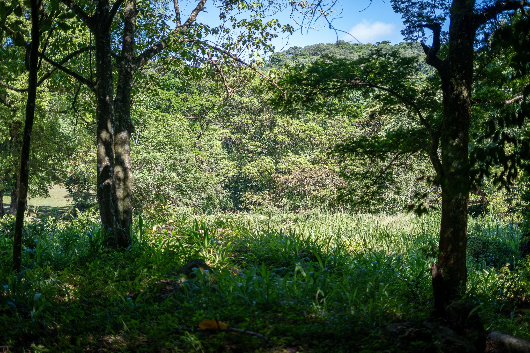 DSC04664.jpg