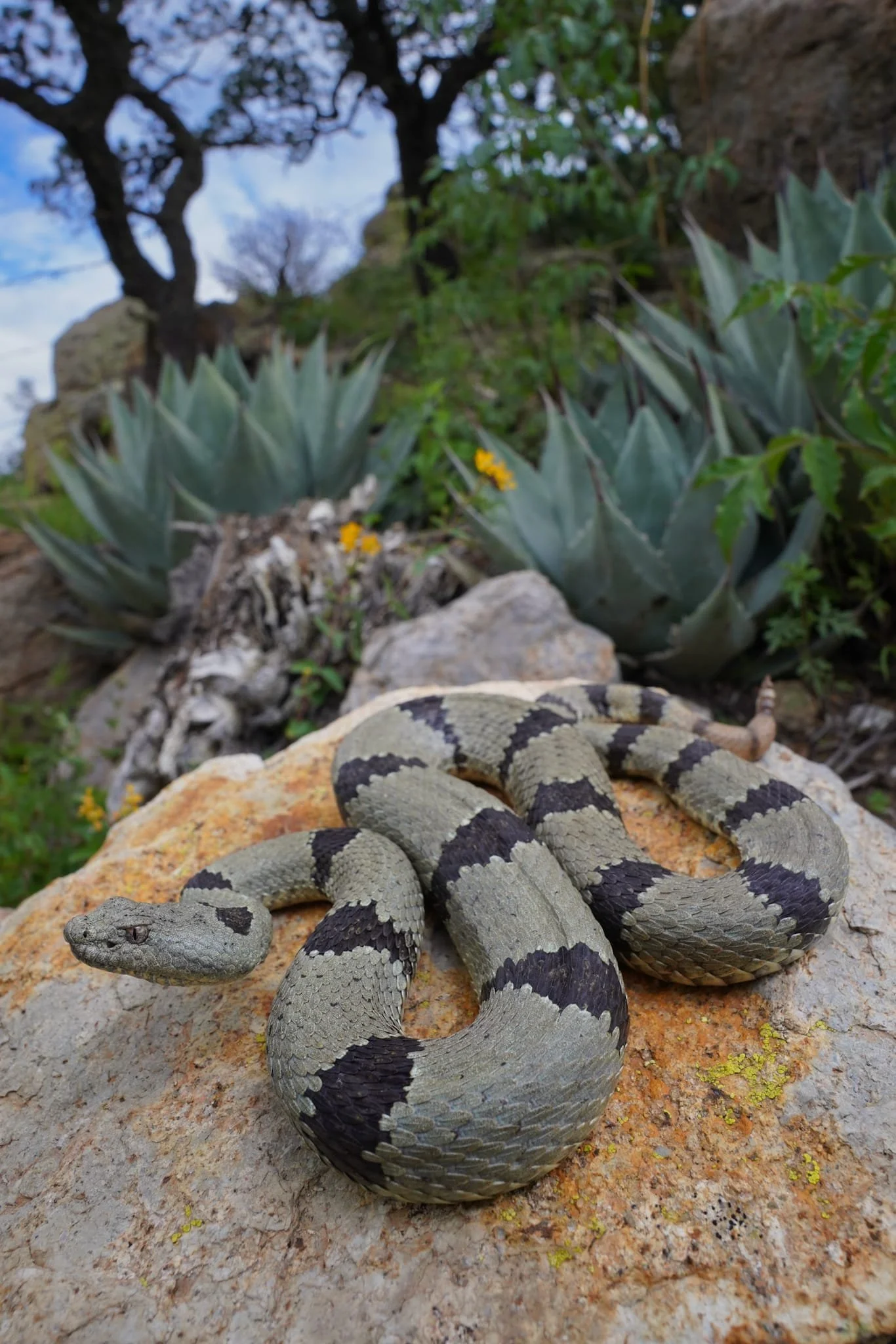 WhatsApp Image 2025-10-14 at 21.10.25_fd2d05f1.jpg