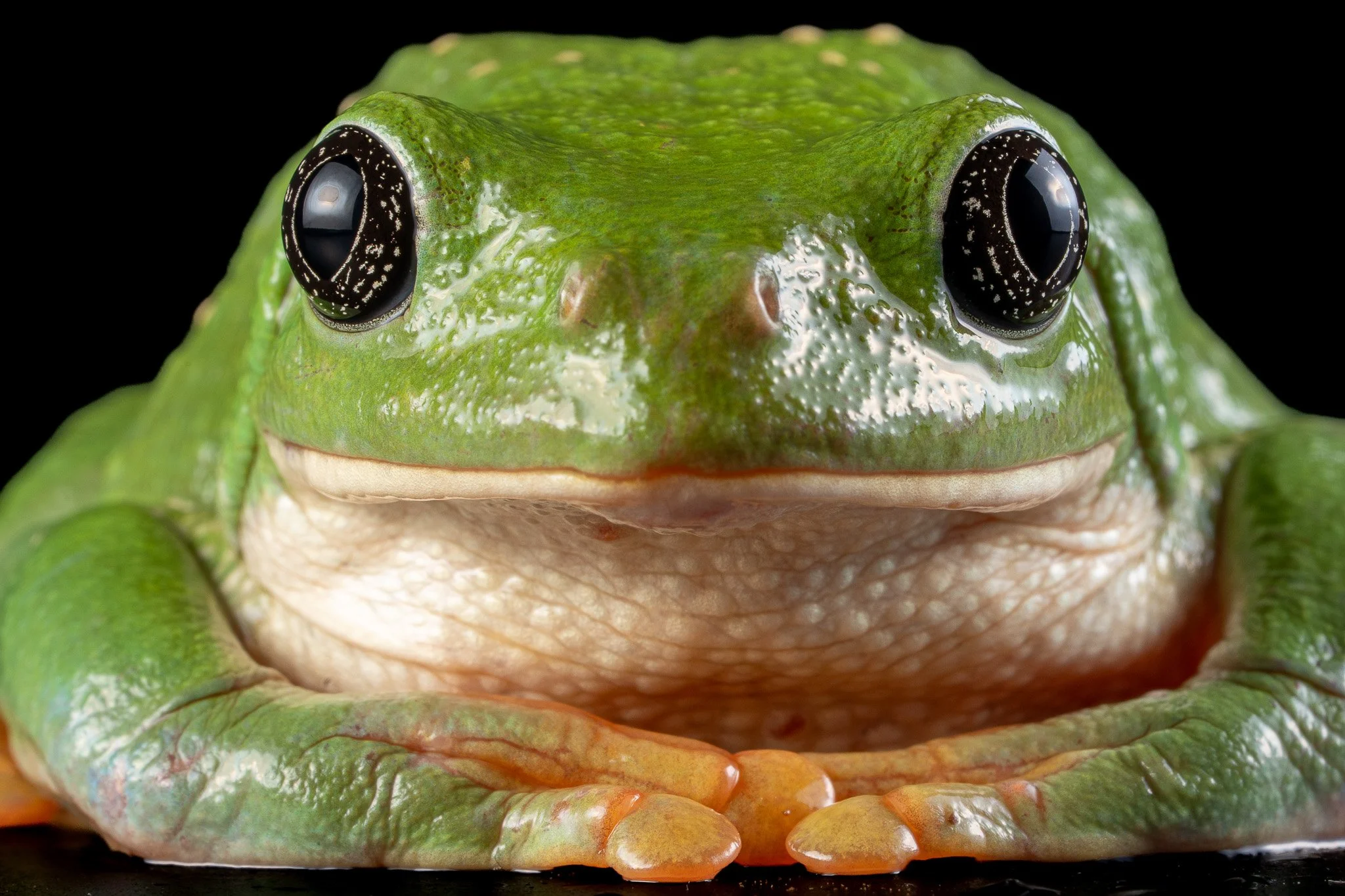 DSC01102.jpg