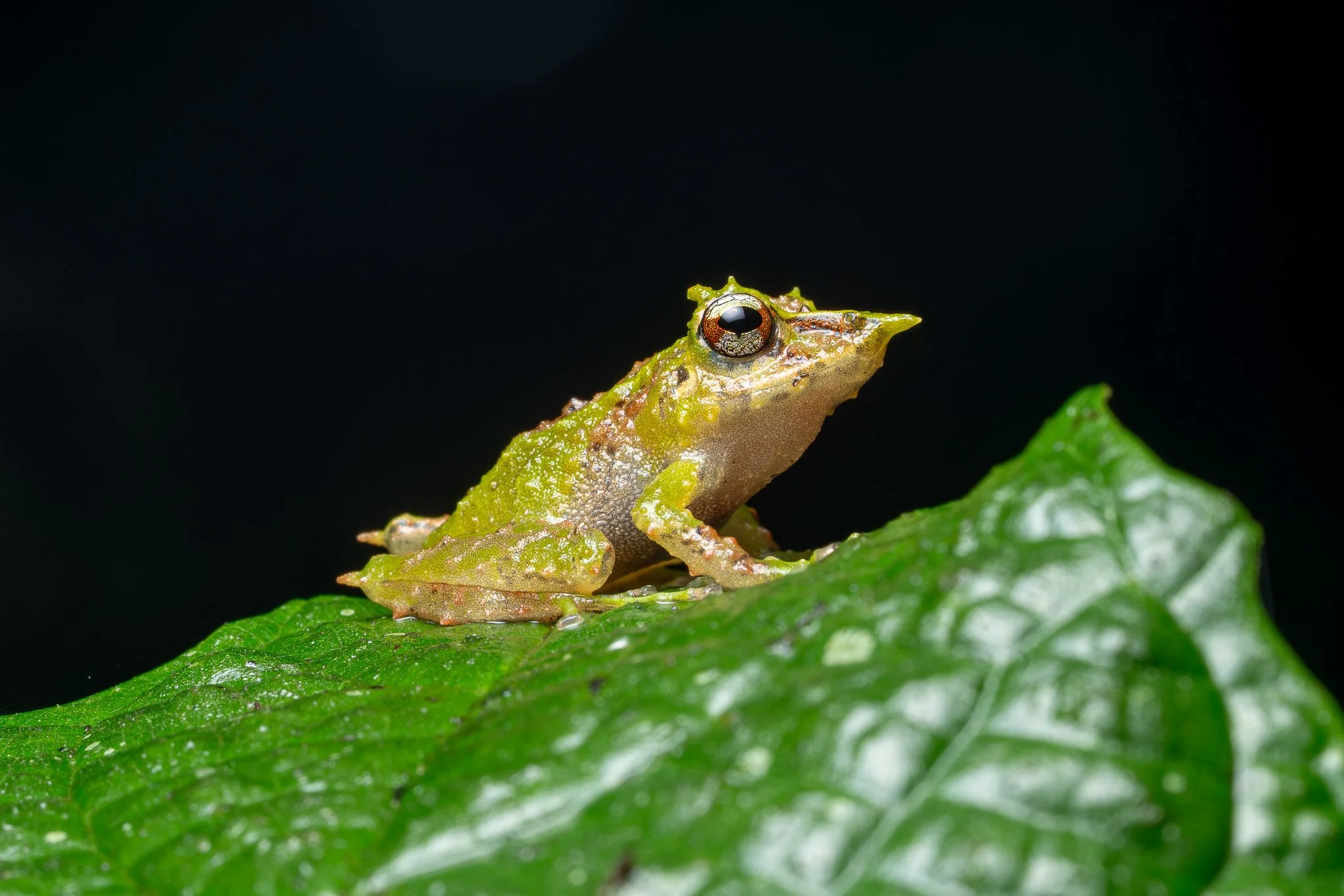 DSC07686-2.jpg