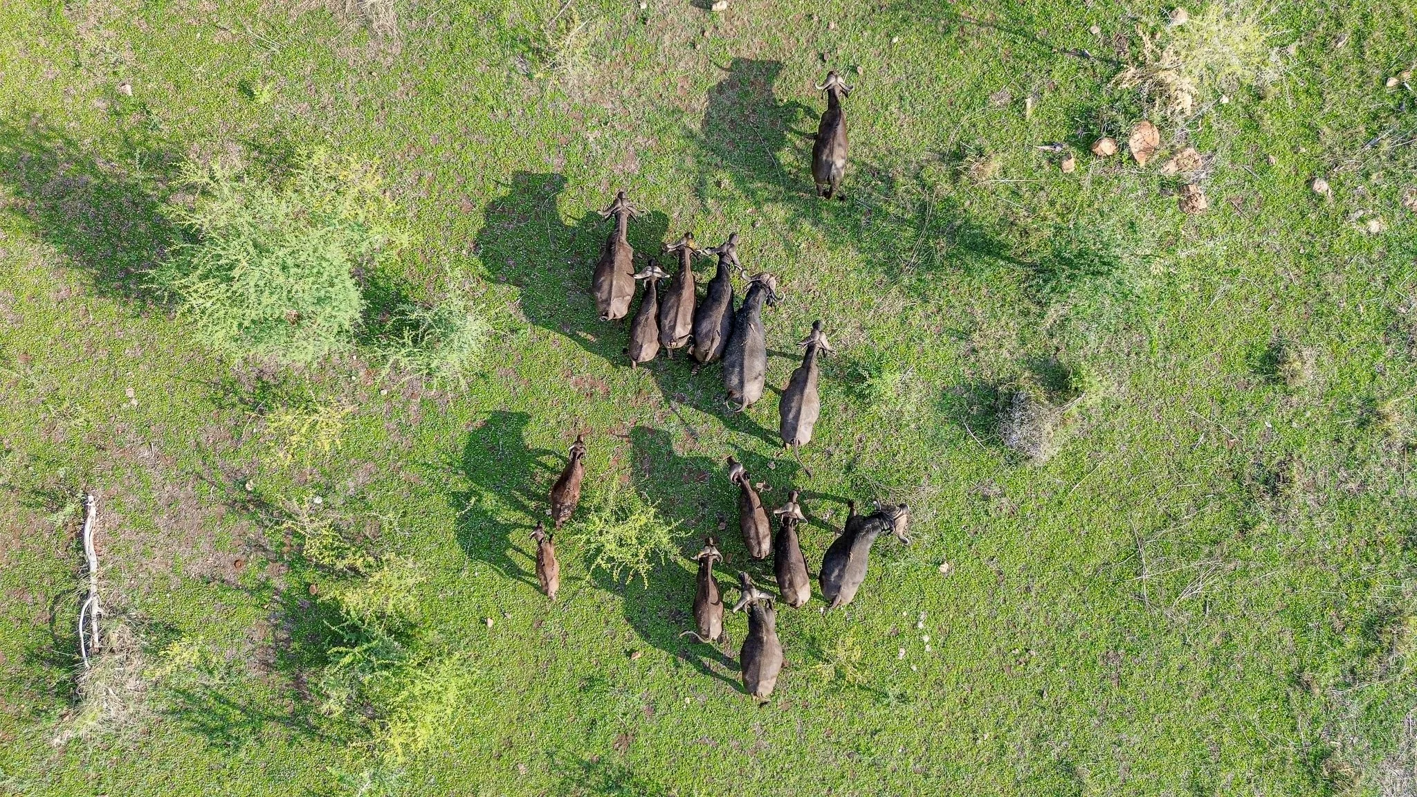 DJI_0065.jpg