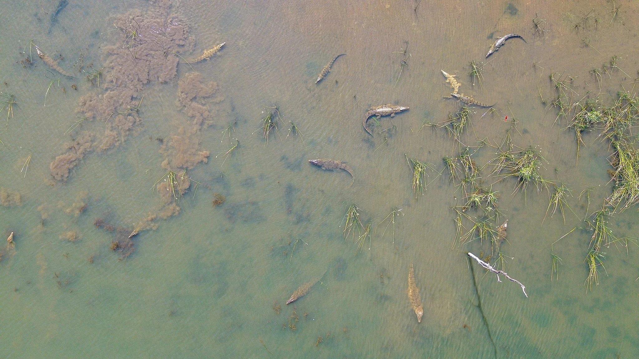 DJI_0044.jpg