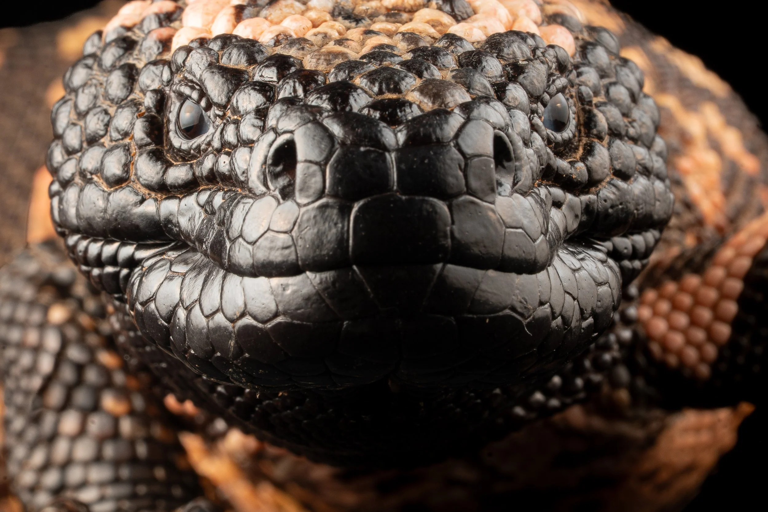 MEXICO PRIVATE TOUR AUG. 18-27, 2026