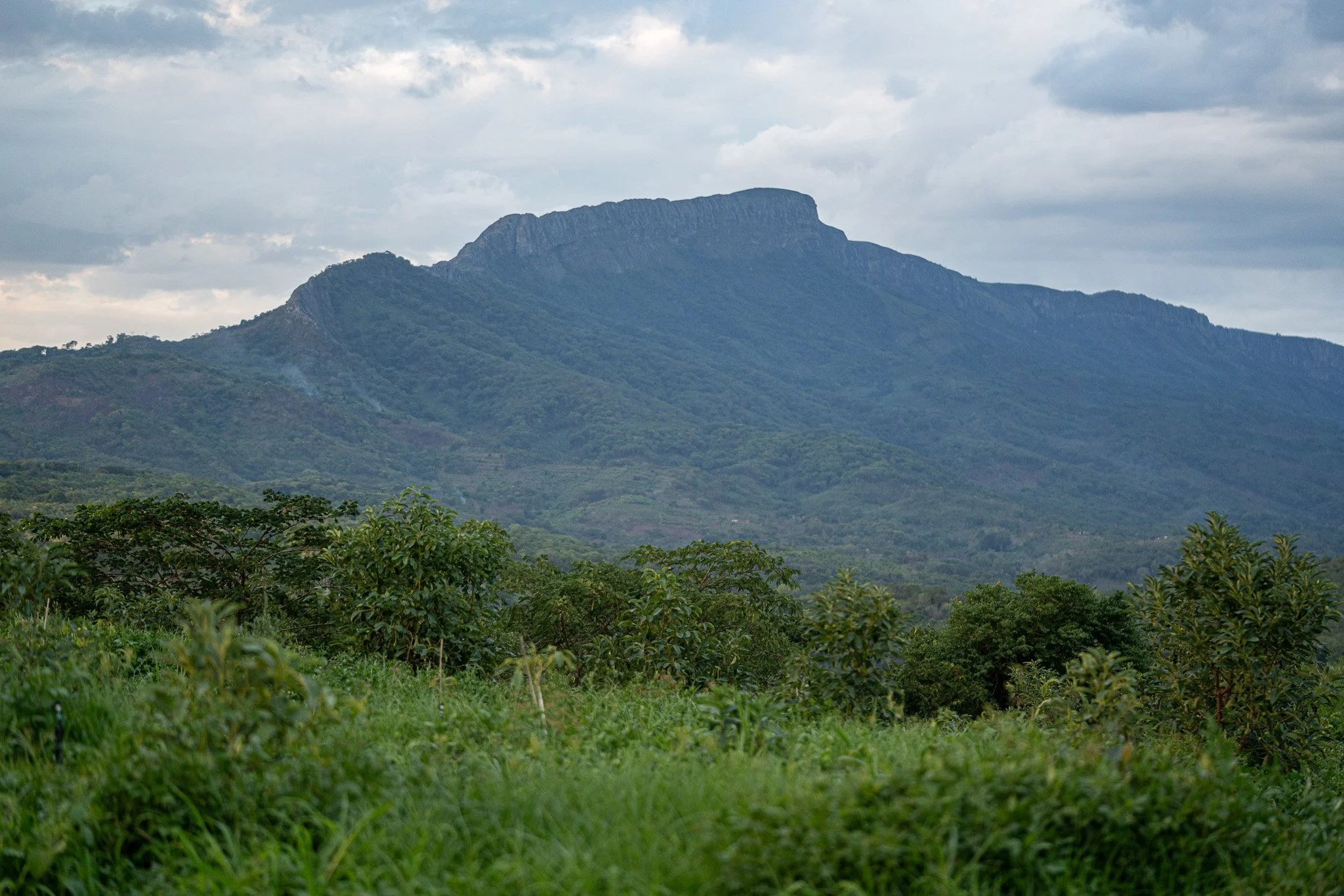 DSC07901-2.jpg