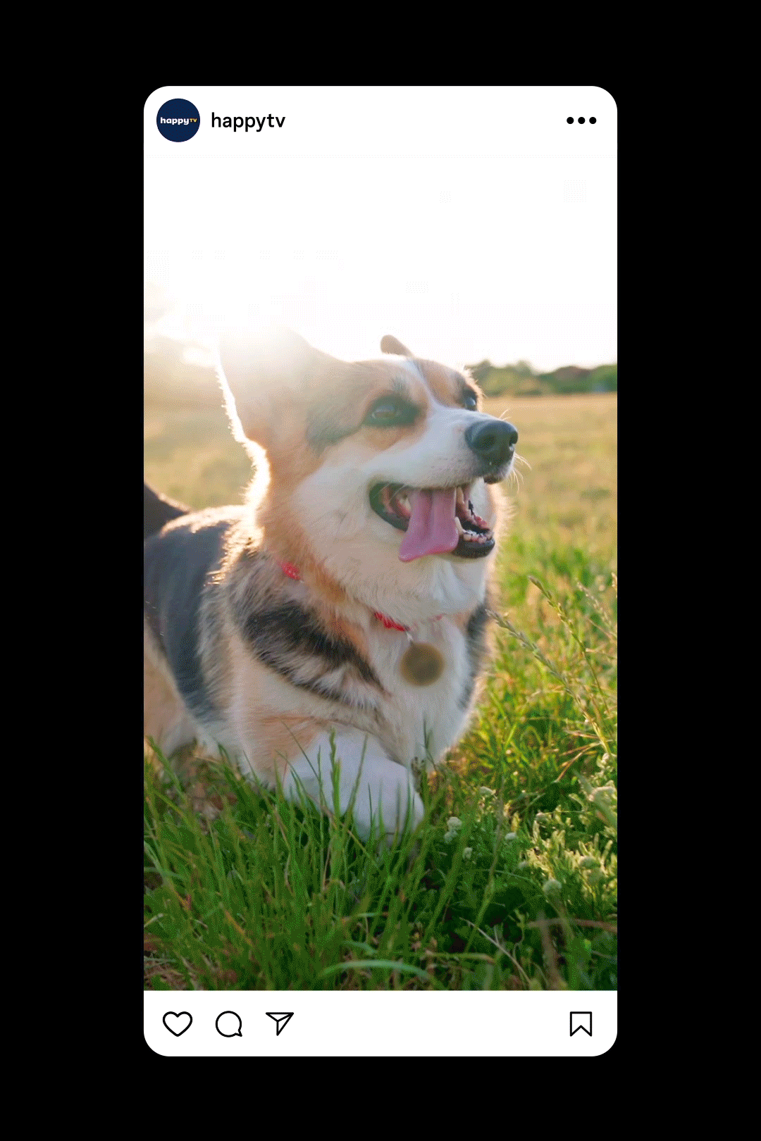 HappyTV-Social2.gif