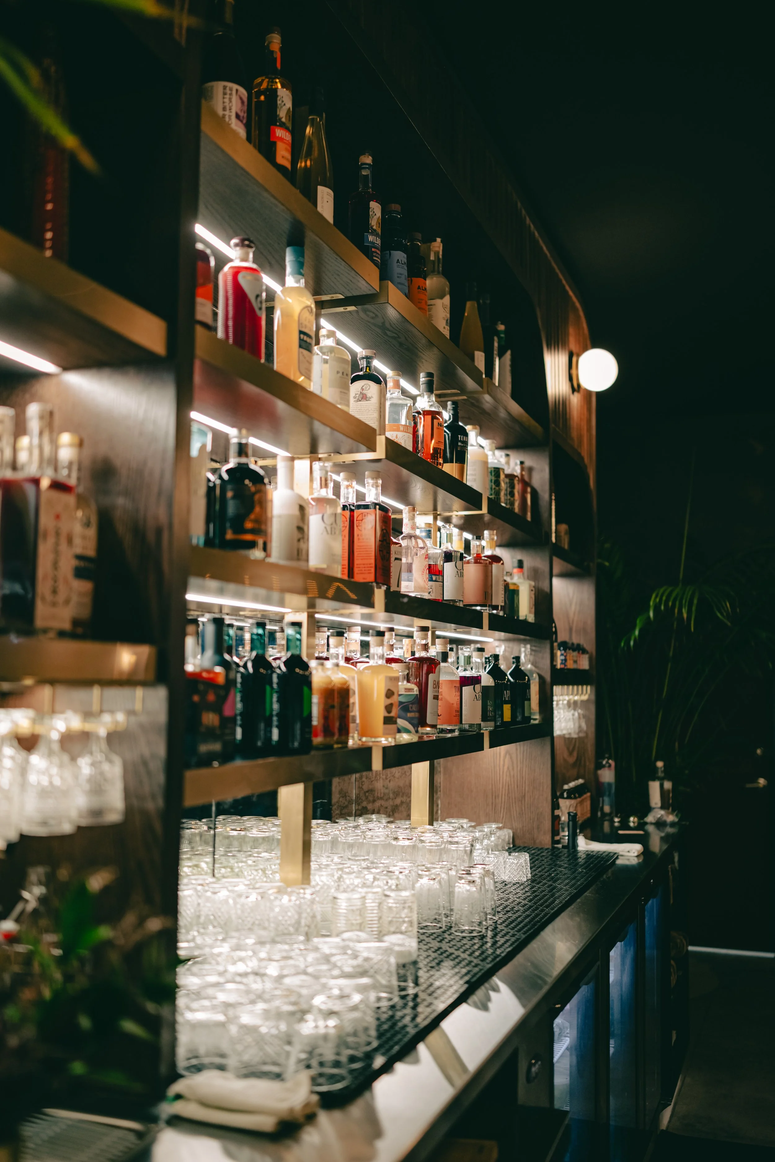 A bar shelf filled with various bottles of liquor, backlit with warm lighting, and a row of empty drinking glasses on the counter below.