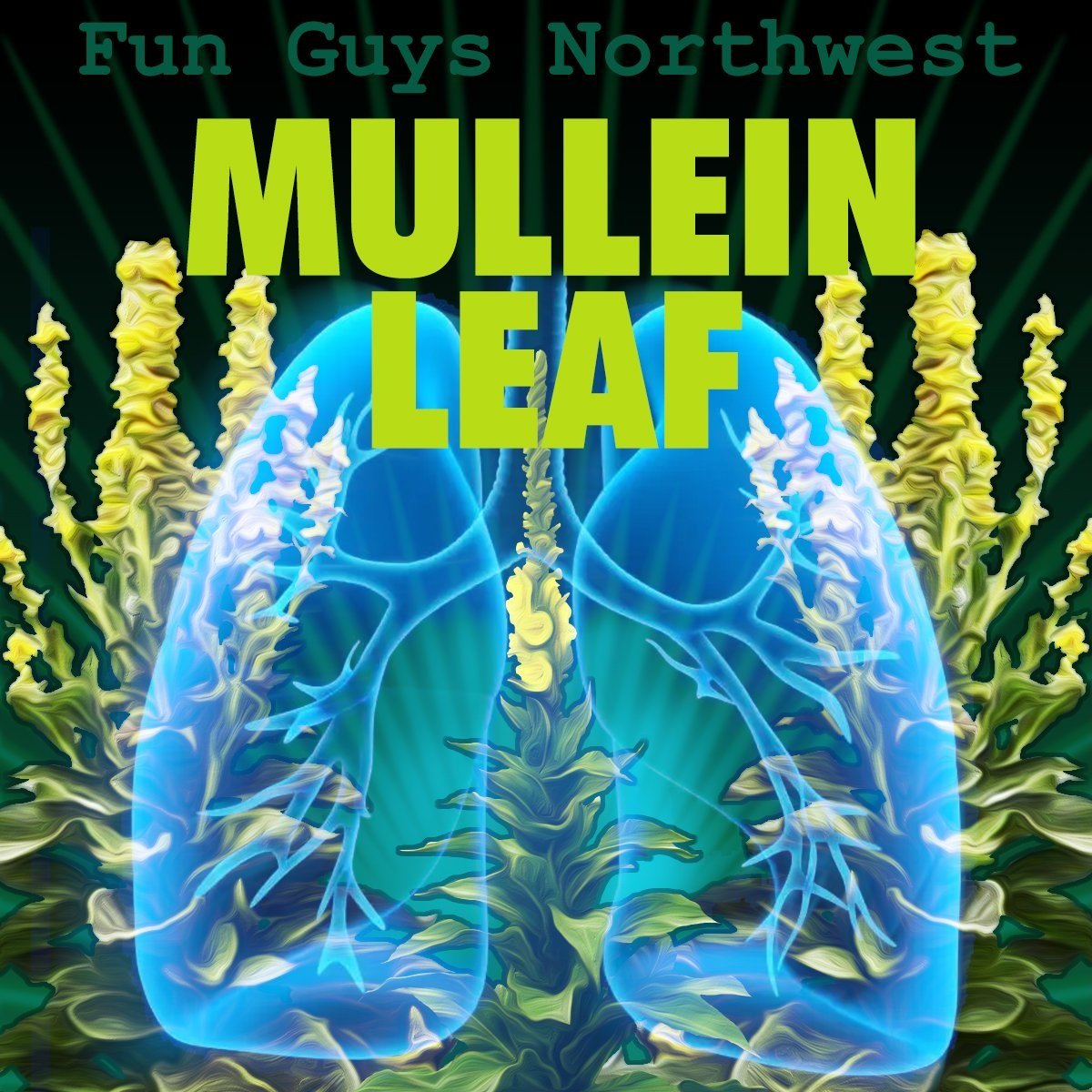 Mullein Glycerin